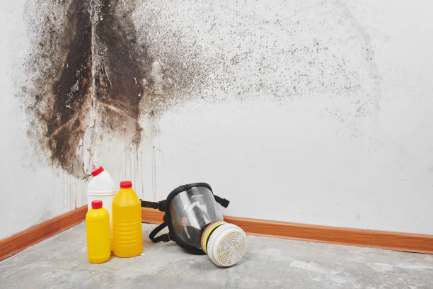 Best Crawl Space Mold Removal  in Farmville, VA