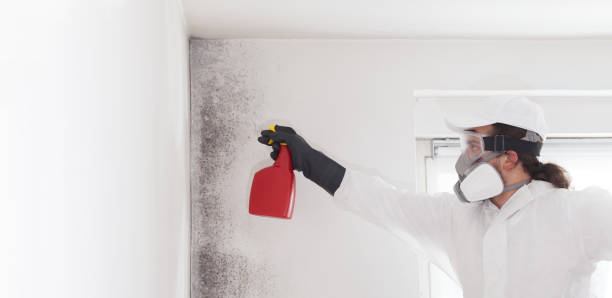 Best Mold Damage Repair  in Farmville, VA